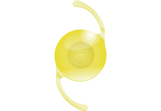 Vivinex Gemetric(ジェメトリック)